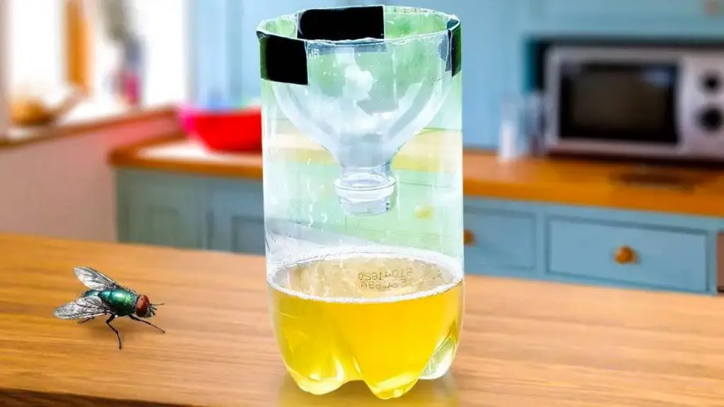 Put this in the kitchen: it scares away flies, mosquitoes and any other ...